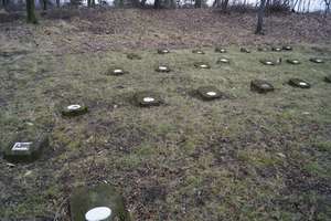 Zapomniany cmentarz - cmentarz wojenny przy ul. Grunwaldzkiej w Działdowie