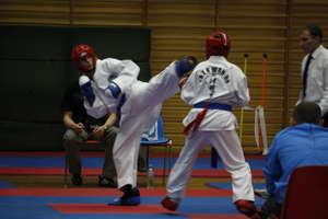 Grand Prix Polski w taekwondo