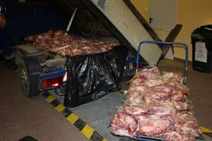 Ponad 700 kilogramów zarekwirowanego polskiego mięsa zutylizowano w Kaliningradzie