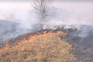 Spłonęło kilkadziesiąt hektarów łąk i nieużytków