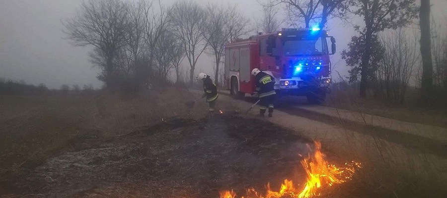 Z pożarem traw w Wielki Piątek zmagali się strażacy z Galin.