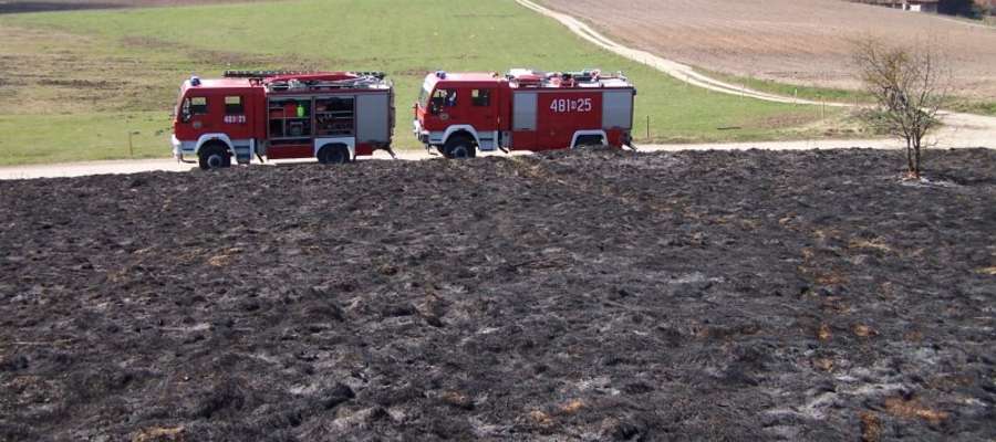W ubiegłym roku strażacy na terenie województwa Warmińsko-Mazurskiego odnotowali 2761 interwencji związanych z pożarami traw