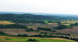 Krajobraz gminy Budry