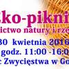W sobotę "Eko-piknik" i zbiórka na rzecz bezdomnych psów