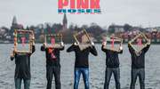 Koncert Pink Roses