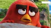 Sean Penn dołączył do obsady „Angry Birds”. Będzie pomrukiwał i warczał