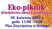 W sobotę "Eko-piknik" i zbiórka na rzecz bezdomnych psów
