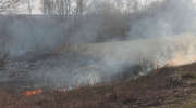 Strażacki tydzień. 118 strażaków gasiło podpalone suche trawy!
