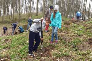 Uczniowie w Byszwałdu sadzili drzewa i oddali hołd ofiarom wojny