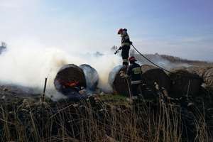 Strażacy: Nie skutkują apele, pożary traw są nadal aktualne