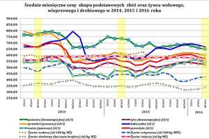 Kolejne spadki cen zbóż na rynkach rolnych