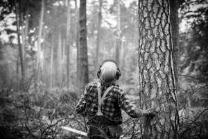 Poznaliśmy laureatów konkursu fotograficznego Las-drewno-człowiek