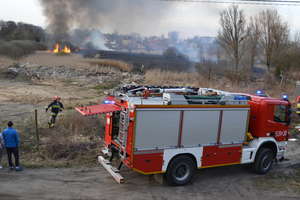Strażacy ugasili pożar kilku hektarów traw i trzciny nad Drwęcą