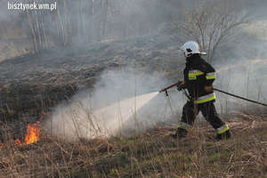 Strażacy gasili suche trawy na nieużytkach