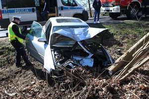Kierowca audi wypadł z Bałtyckiej w Olsztynie i złamał drzewo