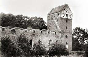 Ruiny zamku krzyżackiego w Bałdze.