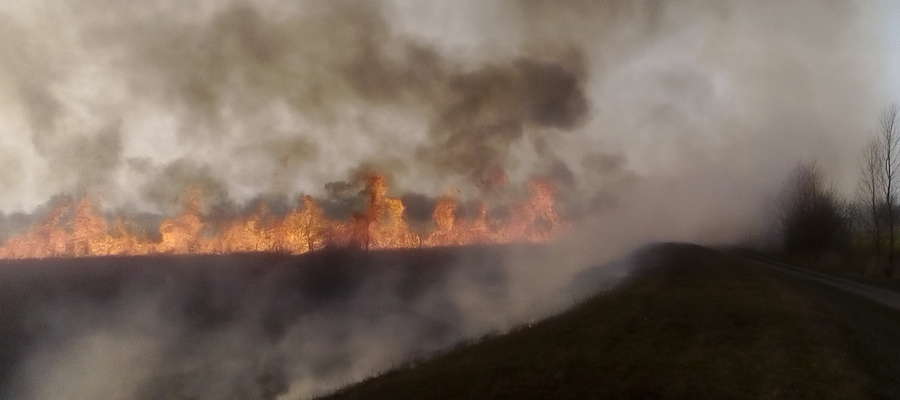 Zdjęcie naszego Czytelnika z pożaru jaki wybuchł w pobliżu obwodnicy Elbląga