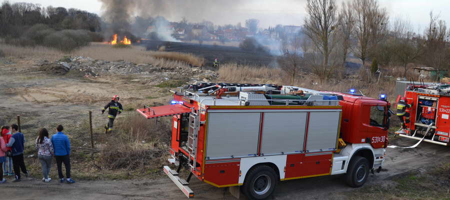 Pożar strawił blisko pięć hektarów nieużytków nad Drwęcą
