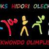 Otwarte mistrzostwa województwa w taekwondo olimpijskim