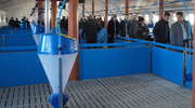Otwarcie chlewni w gminie Lutocin - nowy obiekt na 1 500 tuczników