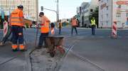 Prace na torowisku w centrum Olsztyna. Drogowcy usuwają usterkę