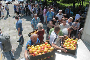 Rozdali 20 ton jabłek z polskich sadów