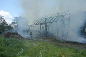 Podsumowanie tygodnia straży pożarnej: 9 krów spłonęło w pożarze w Warpunach