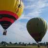 Festiwal Balonowy w Dywitach. Darmowe loty balonami na uwięzi, katapulta ludzka i inne atrakcje
