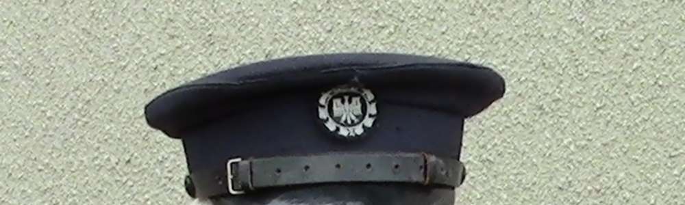 Diamentowy druh Agaton Skoneczka