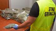 Straż Graniczna przechwyciła 42 kilogramy marihuany