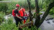 Tragedia na Modrzewinie. Wpadła do rzeczki i porwał ją nurt