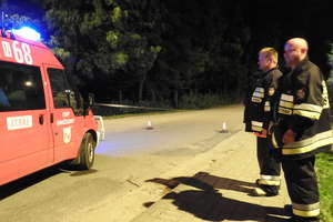 Strażacy z Gwiździn dyżurowali przy drzewach zagrażających linii elektrycznej