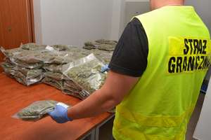 Straż Graniczna przechwyciła 42 kilogramy marihuany
