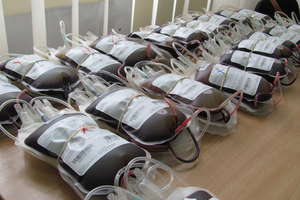 Akcja poboru krwi pod ratuszem