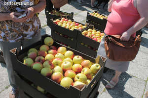 Kolejne 20 ton jabłek przyjedzie do Bartoszyc