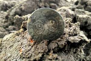 Kolejne znalezisko historyczne pod Iławą, tym razem to dziesięć srebrnych monet i pierścień