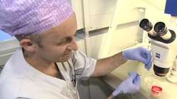 Alternatywna metoda in vitro wkrótce dostępna w Polsce