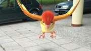 Pokemony: rozwiąż quiz i sprawdź, czy pamiętasz, jak się nazywają!