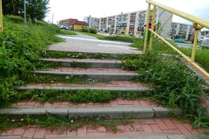 Trawnik na schodach