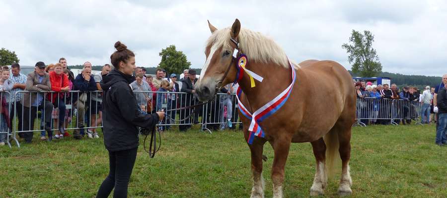 Kilta,najlepszy koń tegorocznej wystawy oraz czempionka prezentowana przez swoja opiekunkę