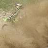 Mistrzostwa Polski i Puchar Polski Cross Country