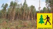 Okresowy zakaz wstępu na obszarze leśnictwa Narty
