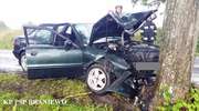 Audi uderzyło w drzewo. Kierowca zginął na miejscu