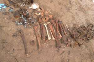 Znaleźli ludzkie szczątki na budowie. To żołnierze z czasów I wojny?