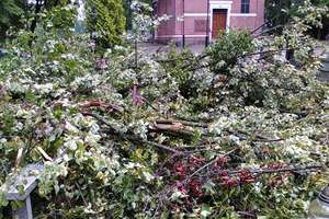 Burza połamała drzewa na "starym" cmentarzu w Bartoszycach