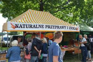 Olsztynek: o ziołach we wianku, kłobuku i smoku wawelskim 