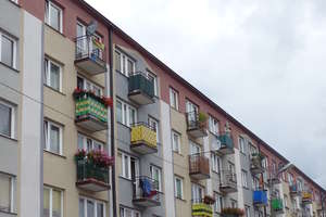 Brak flag na budynkach w Dniu Wojska Polskiego. Co o tym sądzicie?
