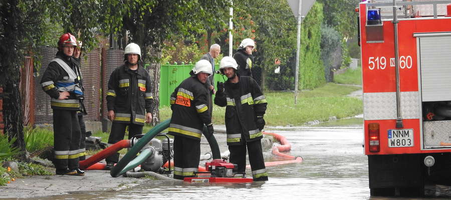 Akcja strażaków na nowomiejskich działkach