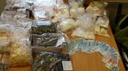 Policjanci z Olsztyna przechwycili 16 kg narkotyków za pół miliona złotych [film]