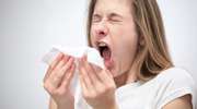 Sposób na grypę. Antybiotyki, czy domowa apteczka? SONDA